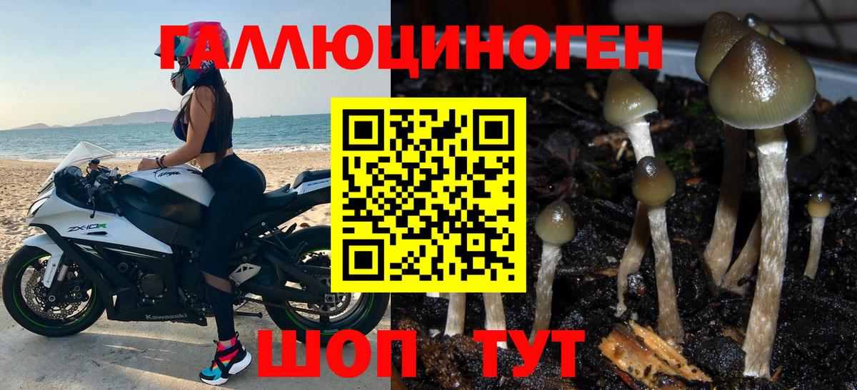 где купить наркоту  Галлюциногенные грибы мицелий  Вход с VPN  Галлюциногенные грибы Cubensis  Красноармейск 