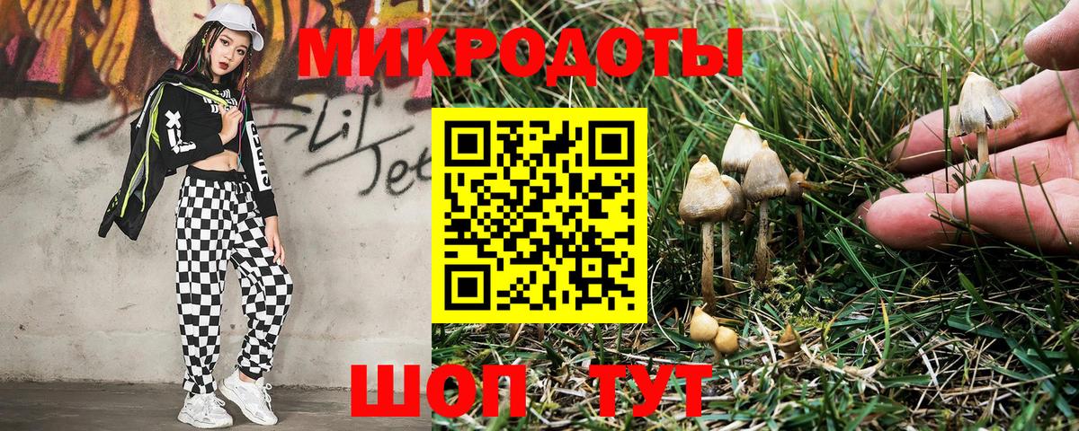 Галлюциногенные грибы мицелий Красноармейск